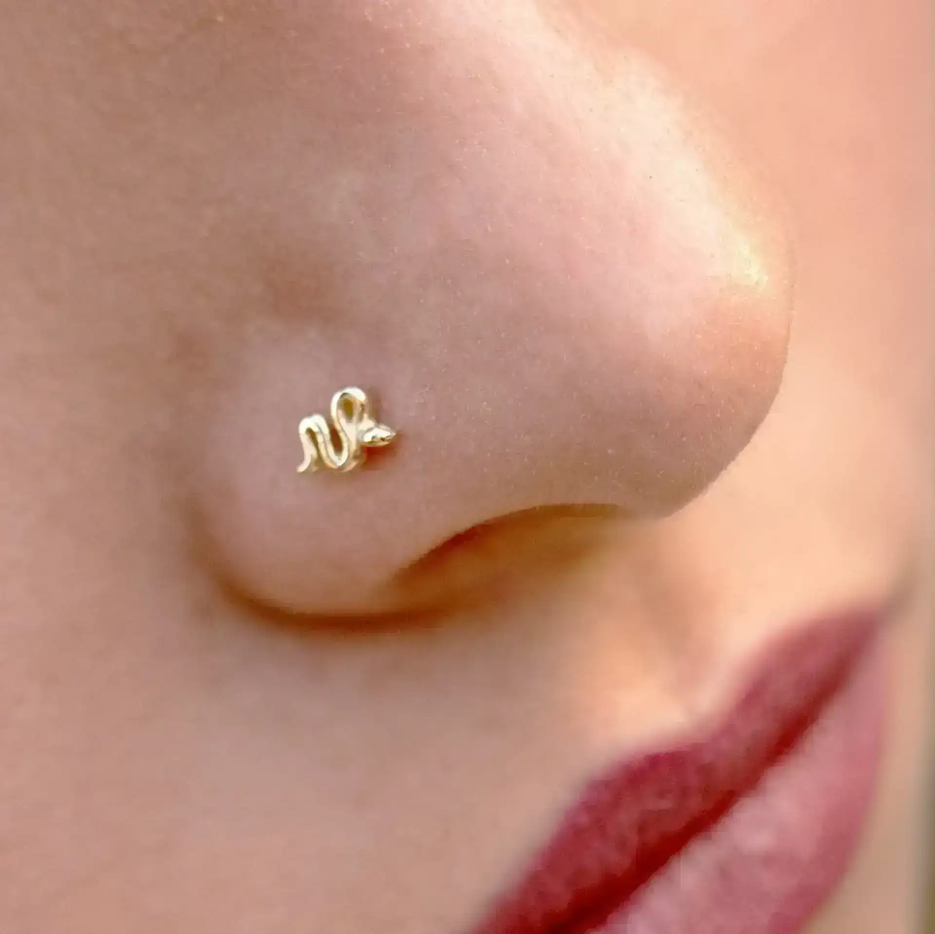 Joyeria Piercing nariz varios diseños 