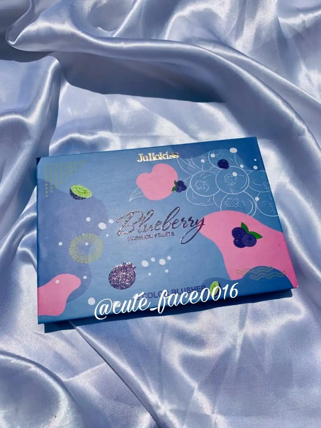 Paleta de rubores Blueberry  2