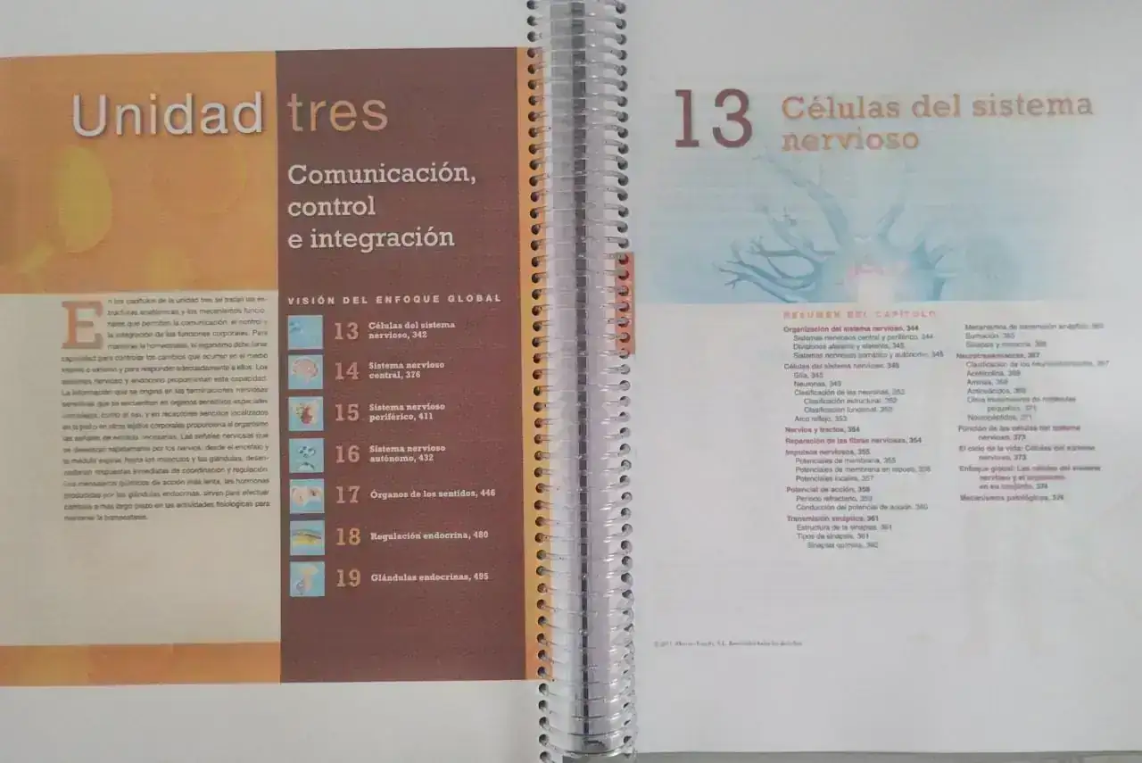 Anatomía Fisiología  4