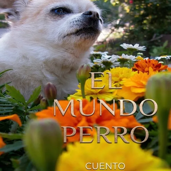 Cuento a Granel LSO 8