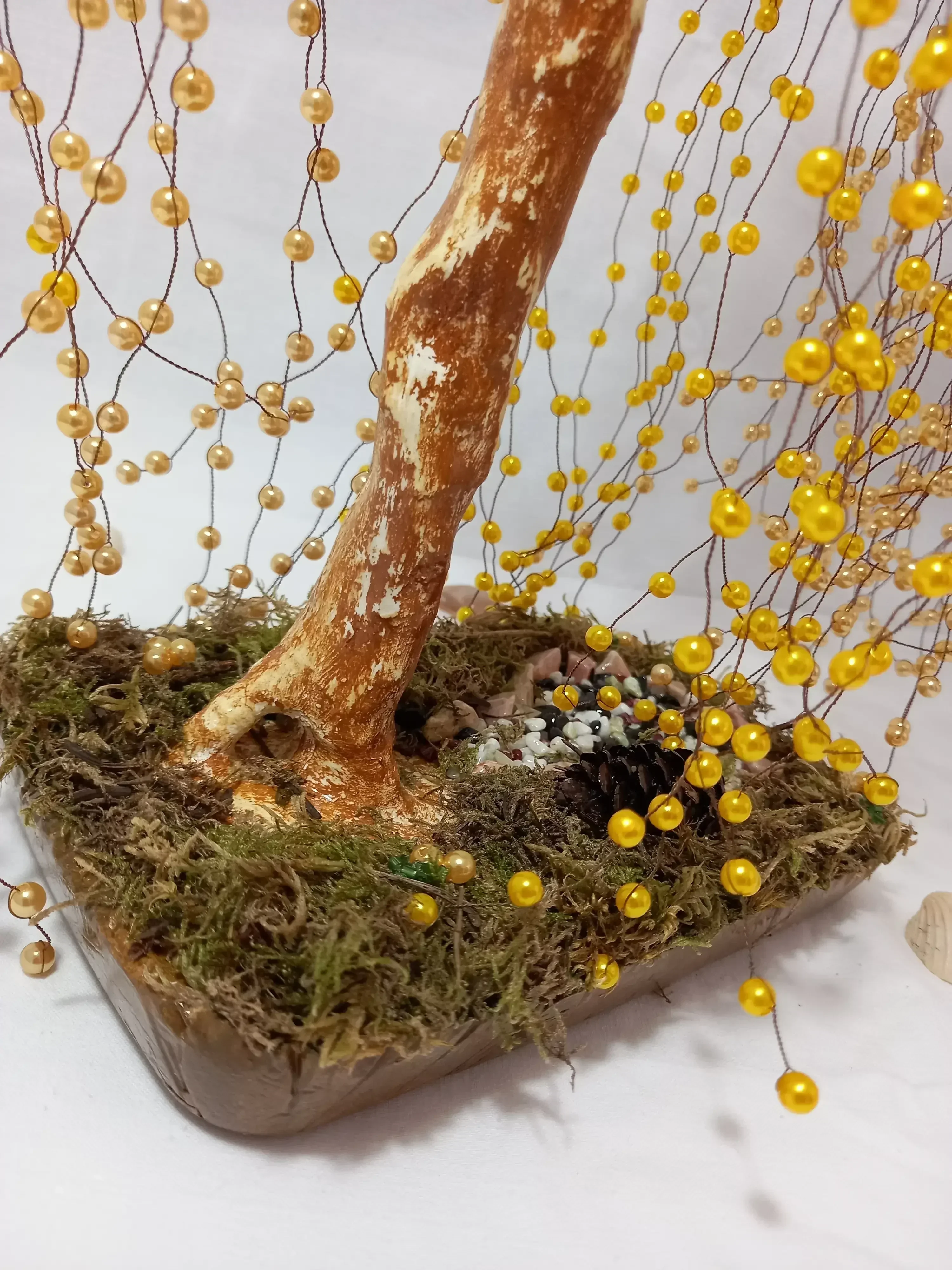 Bonsai Sauce Lloron Ambar 4