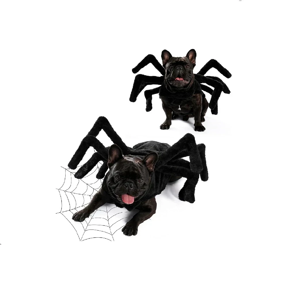 Disfraz tarántula negra