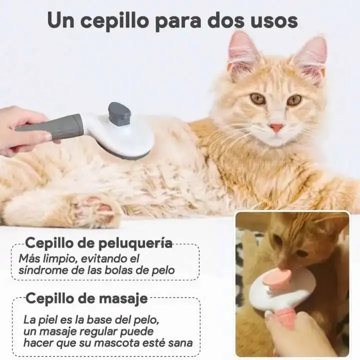 Saca pelusas 3