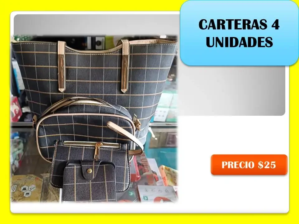 Set de carteras 4 unidades 