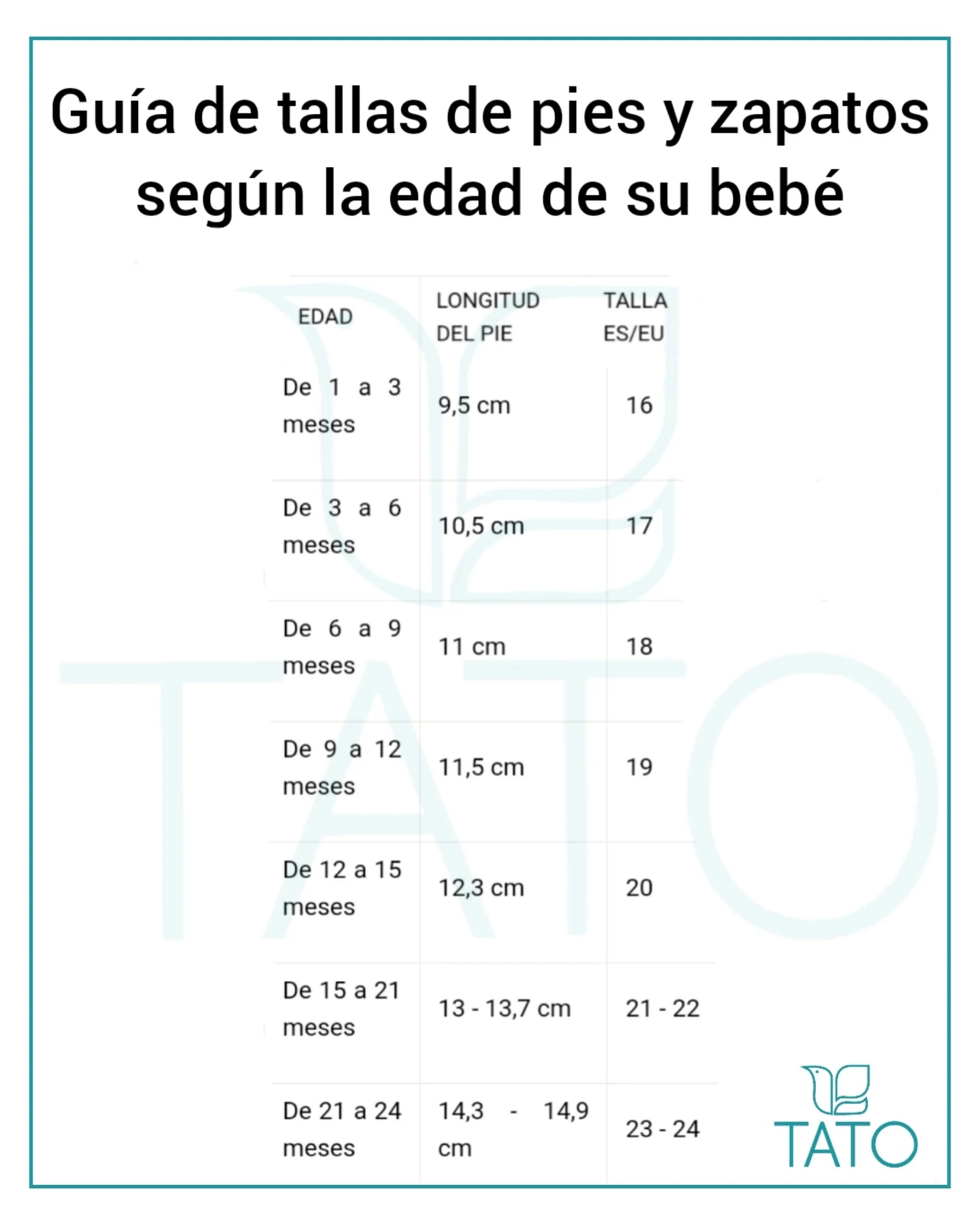 ZAPATOS Y TALLAS