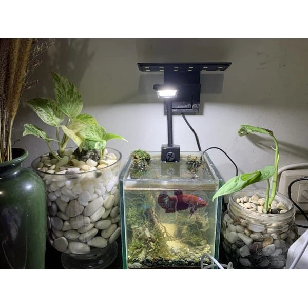 Mini Lampara Sobo L-28C 2.8w 11cm 3