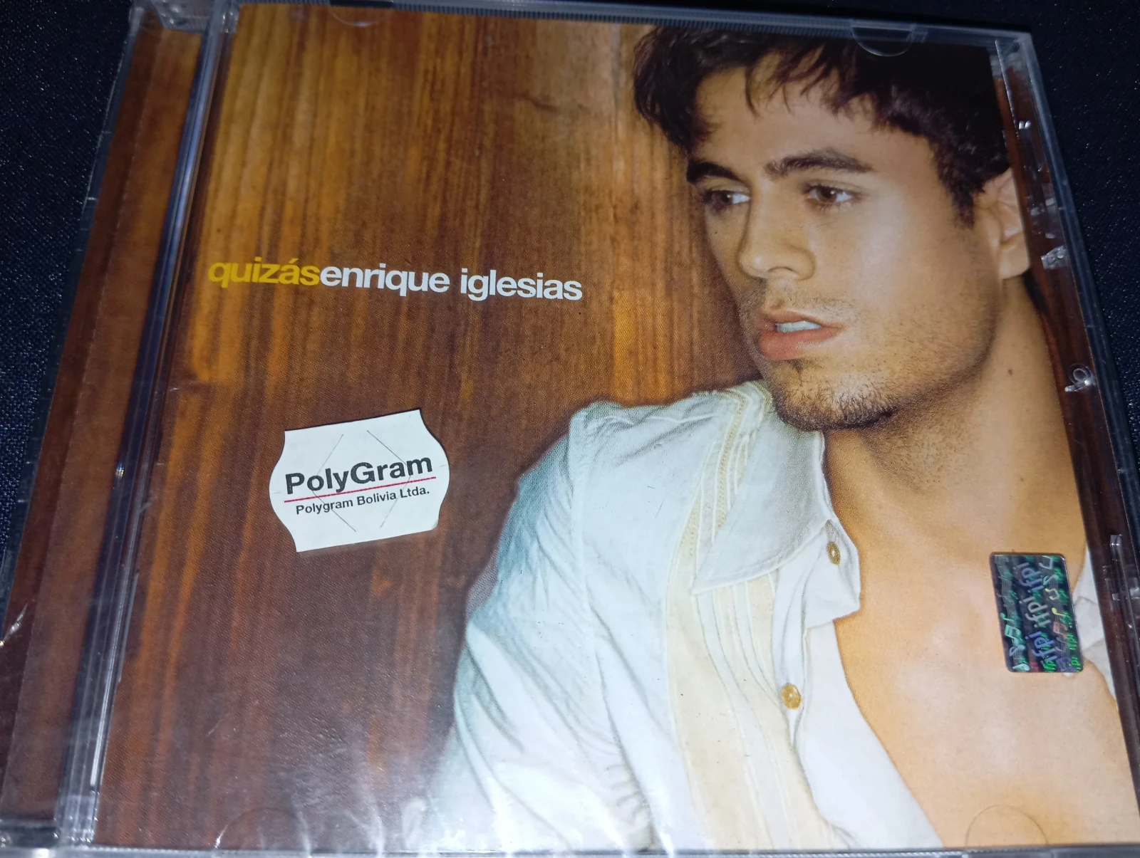 Enrique Iglesias - Quizas (CHILE)