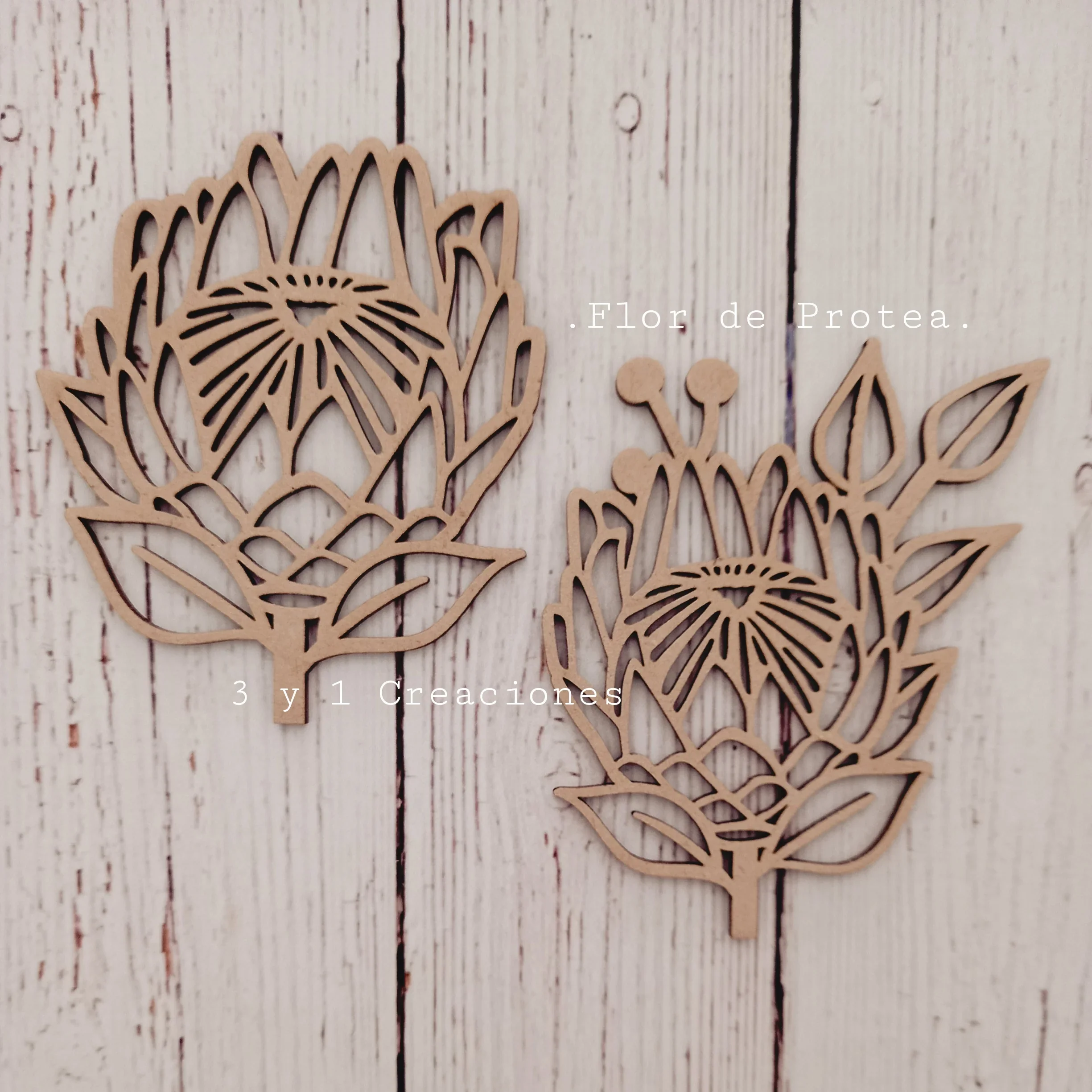 FIGURA FLOR DE PROTEA con pimpollos
