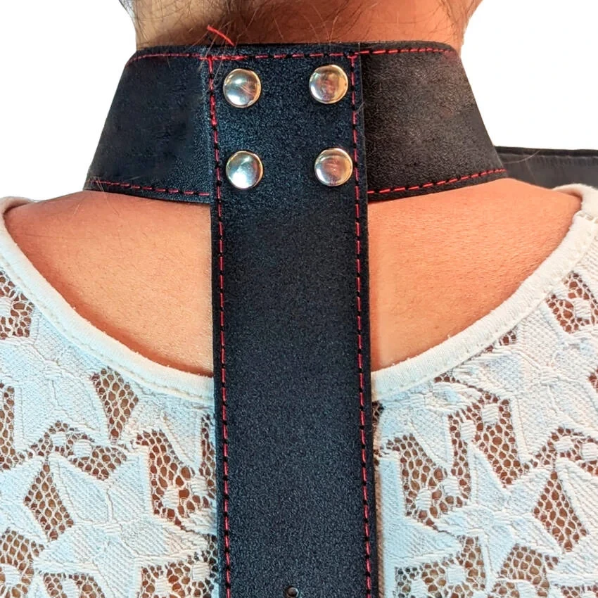 Collar Inmovivlizador 2