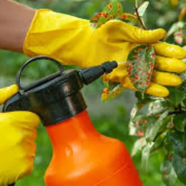Insecticida Acaricida sólido y liquido