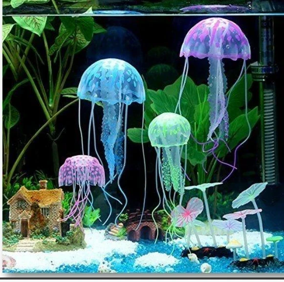 Medusas 