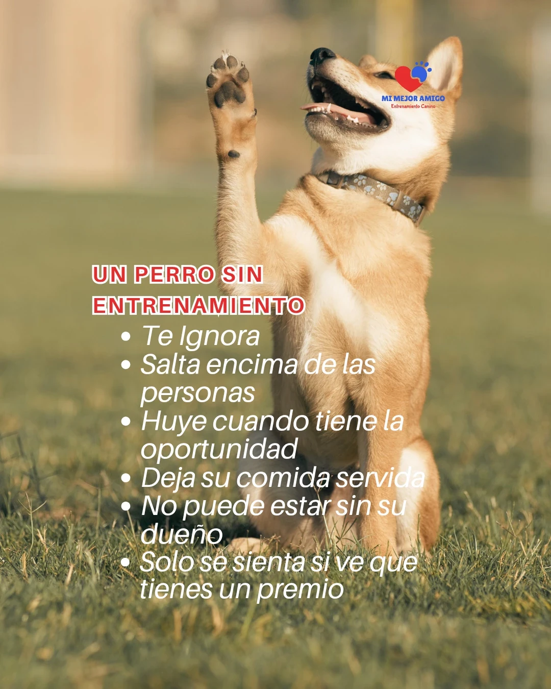 CURSO ADULTOS 2