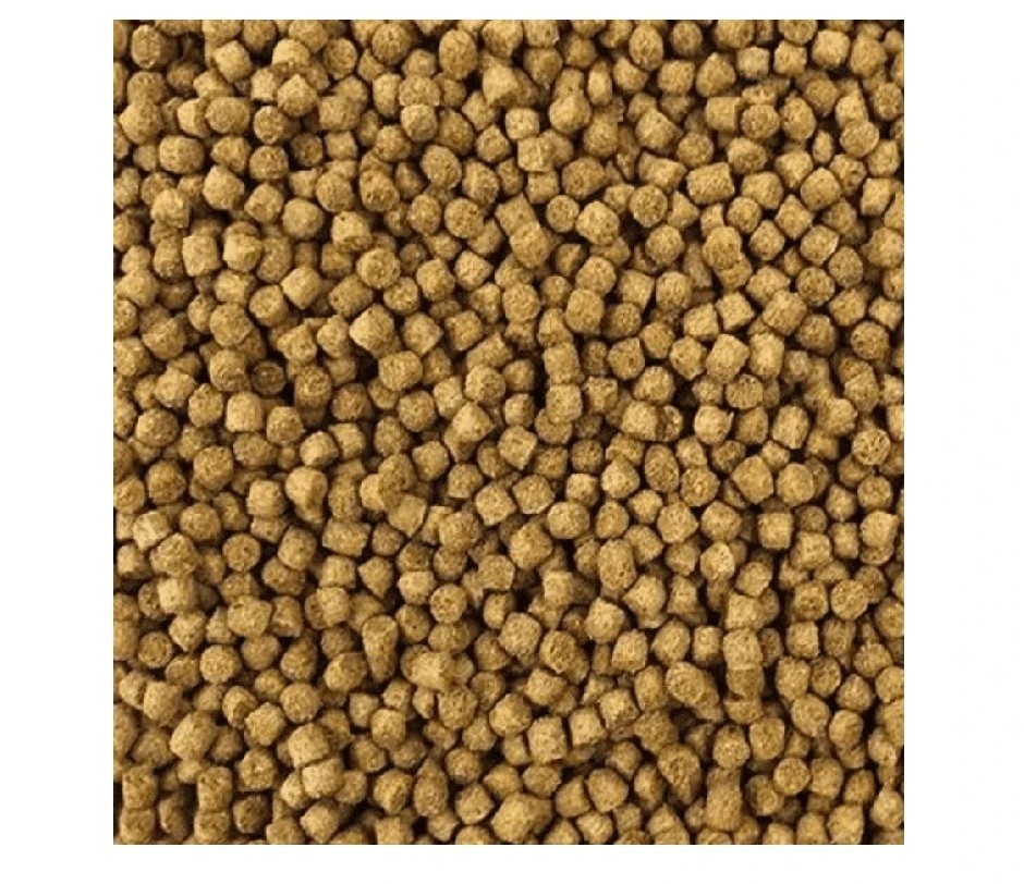 Alimento Pellet Para Carpas Y Goldfish Koi Food Growth 10kg 2