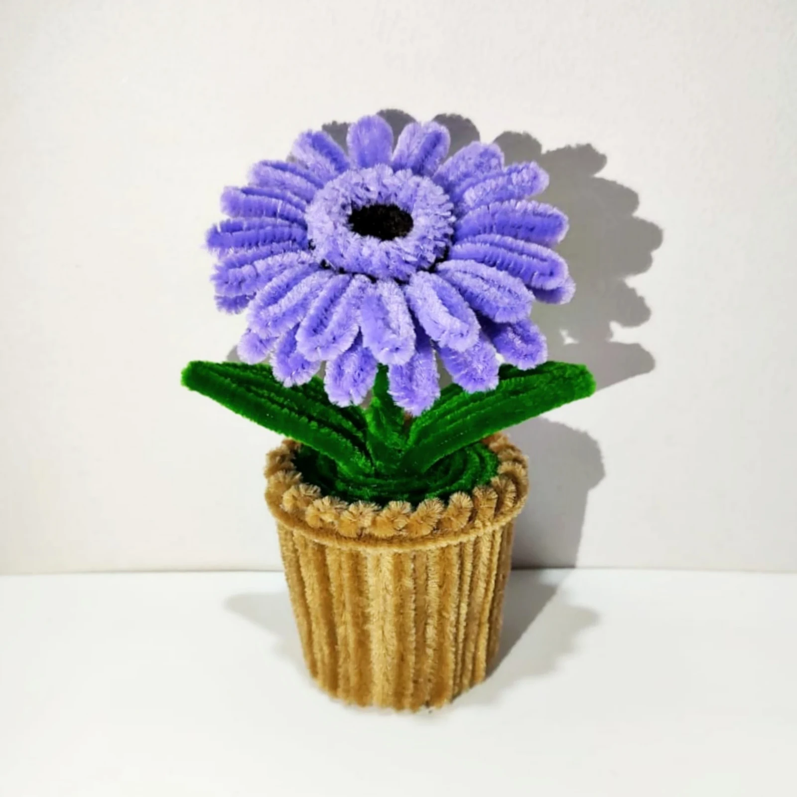 Macetita de Gerbera 2