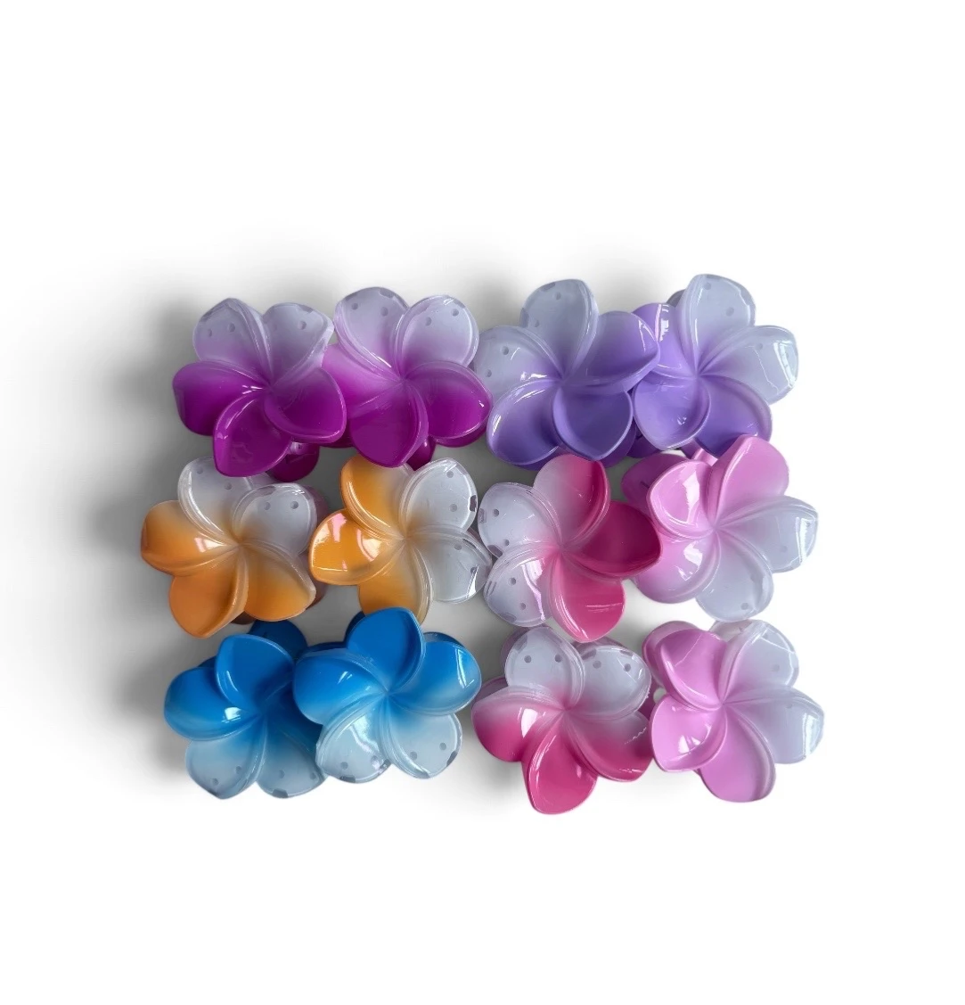 docena de pinza Frangipani 4