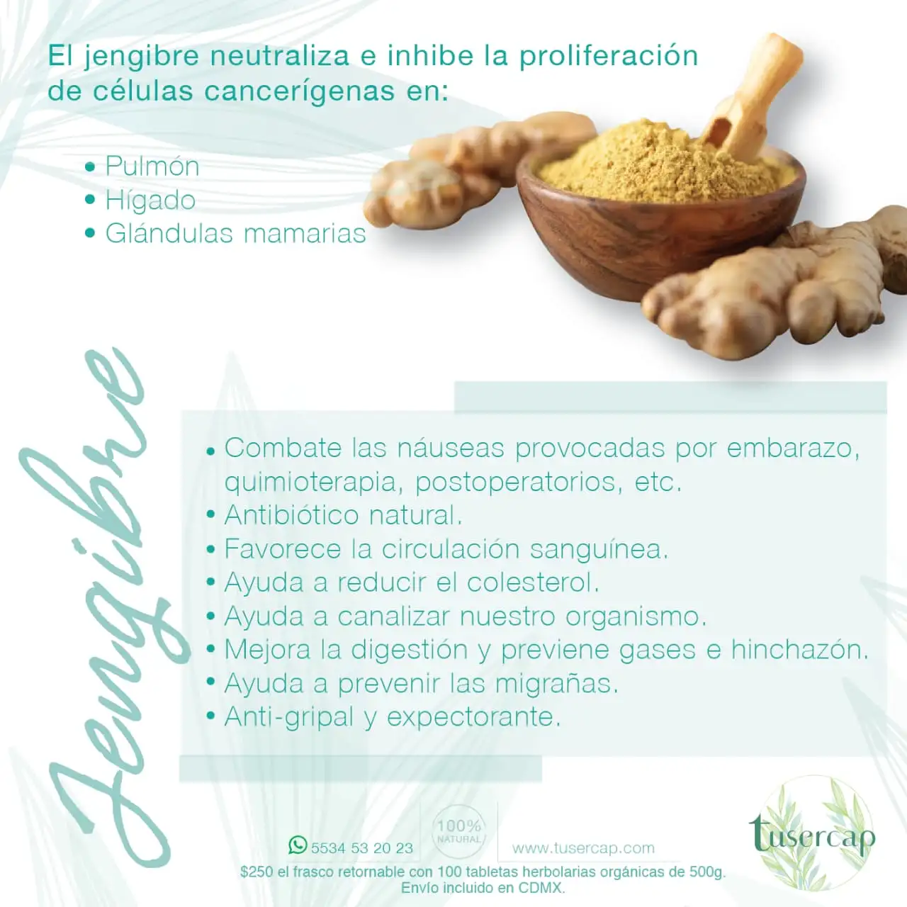Jengibre