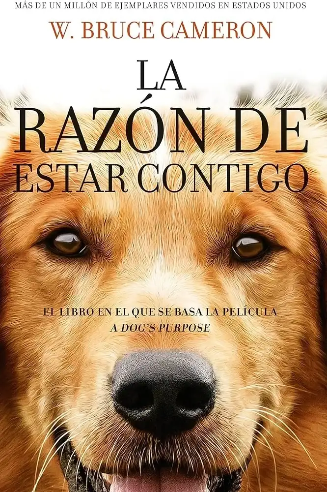 LA RAZON DE ESTAR CONTIGO 