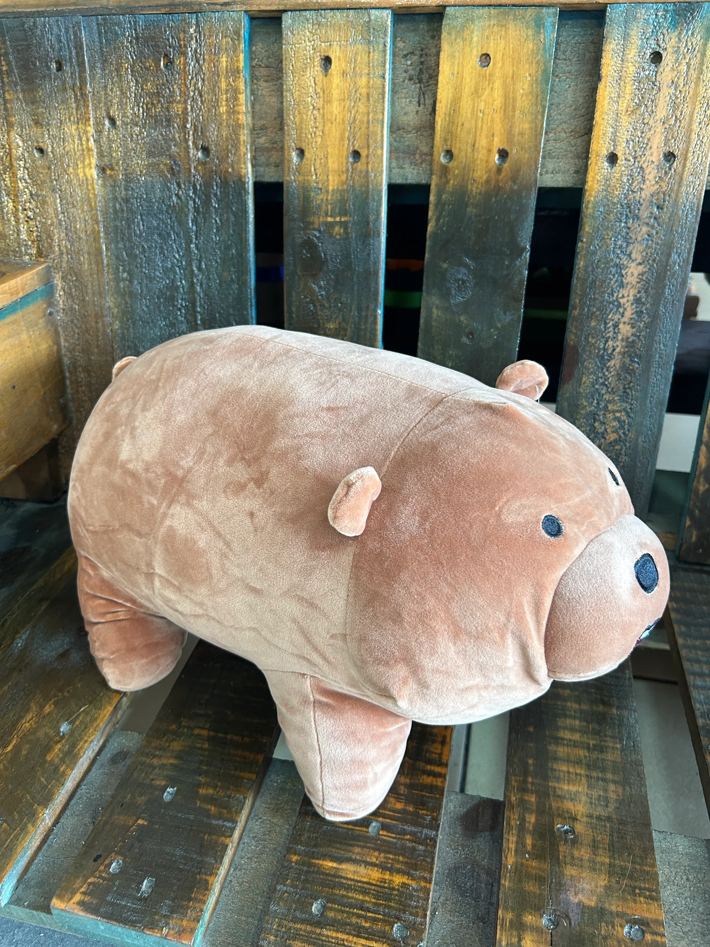 Peluche escansalosos  3
