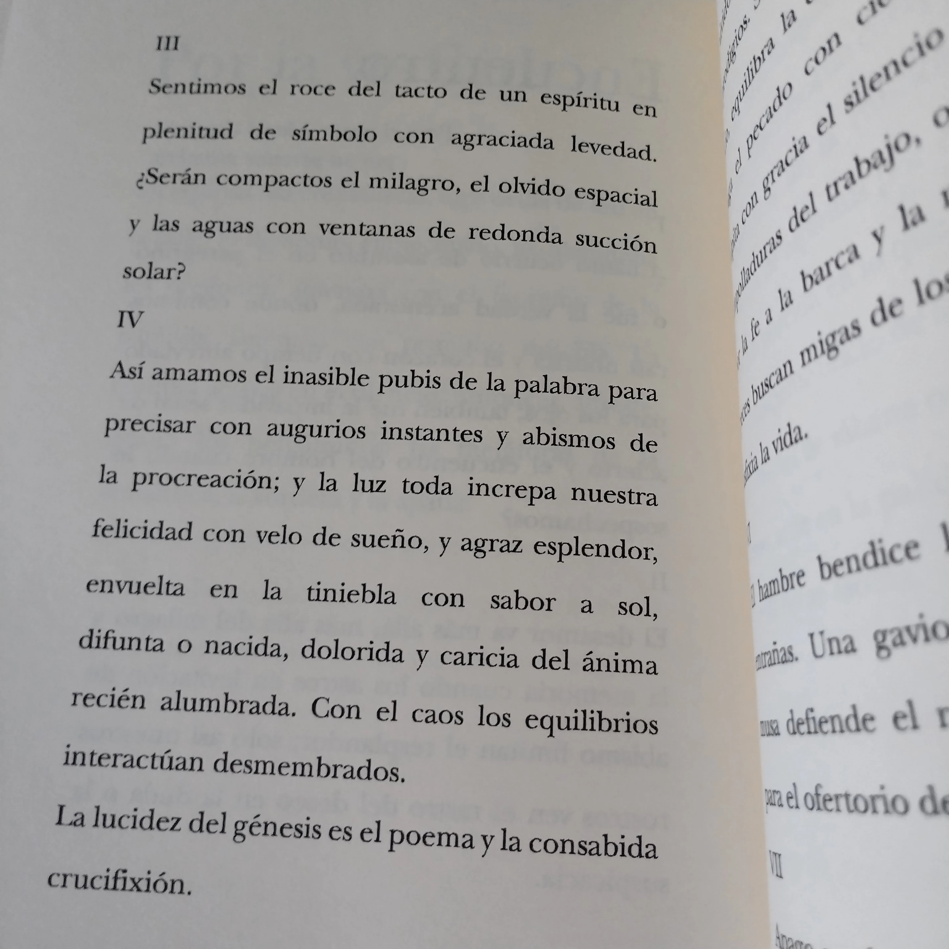La costumbre del reflejo, Carlos Calero, usado  3