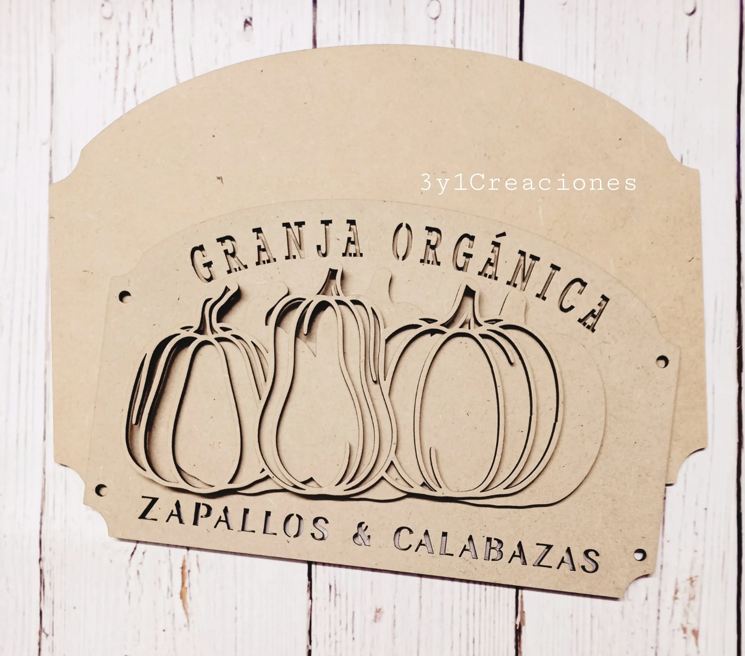 CARTEL ZAPALLOS Y CALABAZAS 2