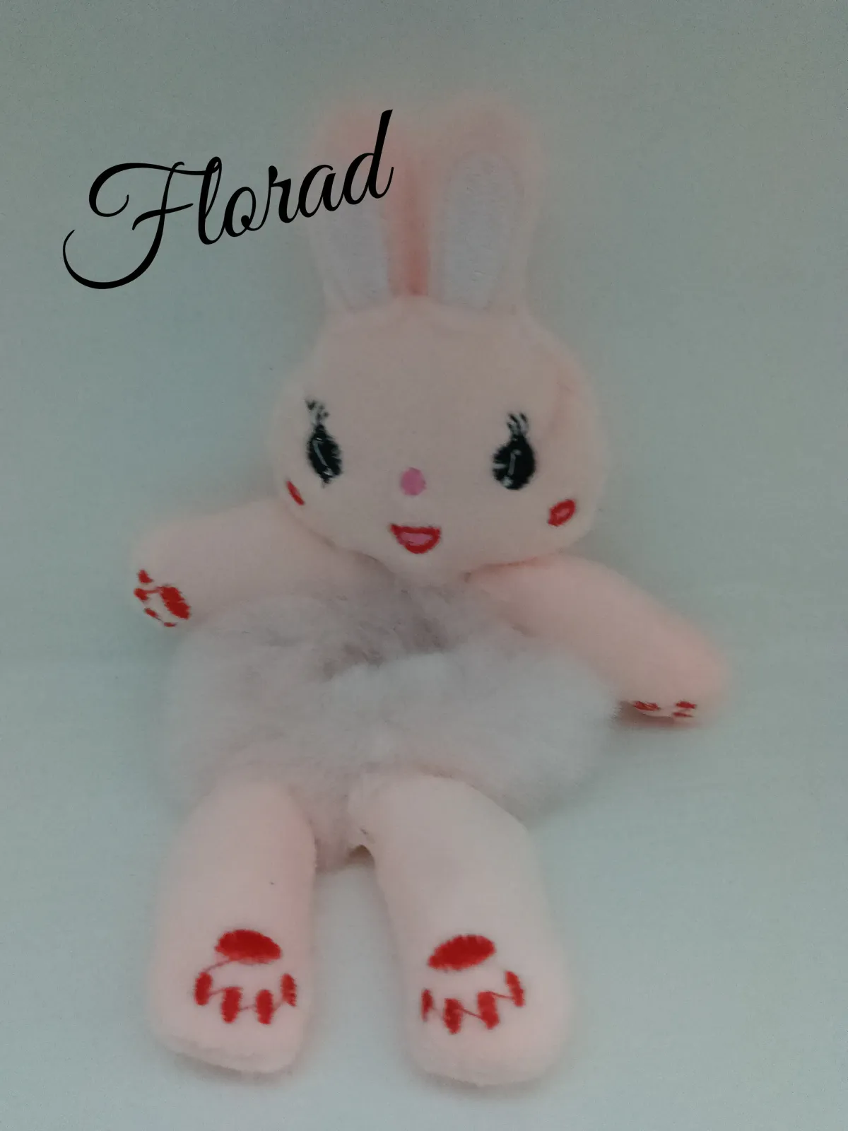 Dona de conejo