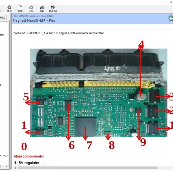 ECM PINOUT