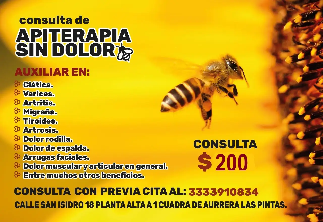 Apiterapia sin dolor