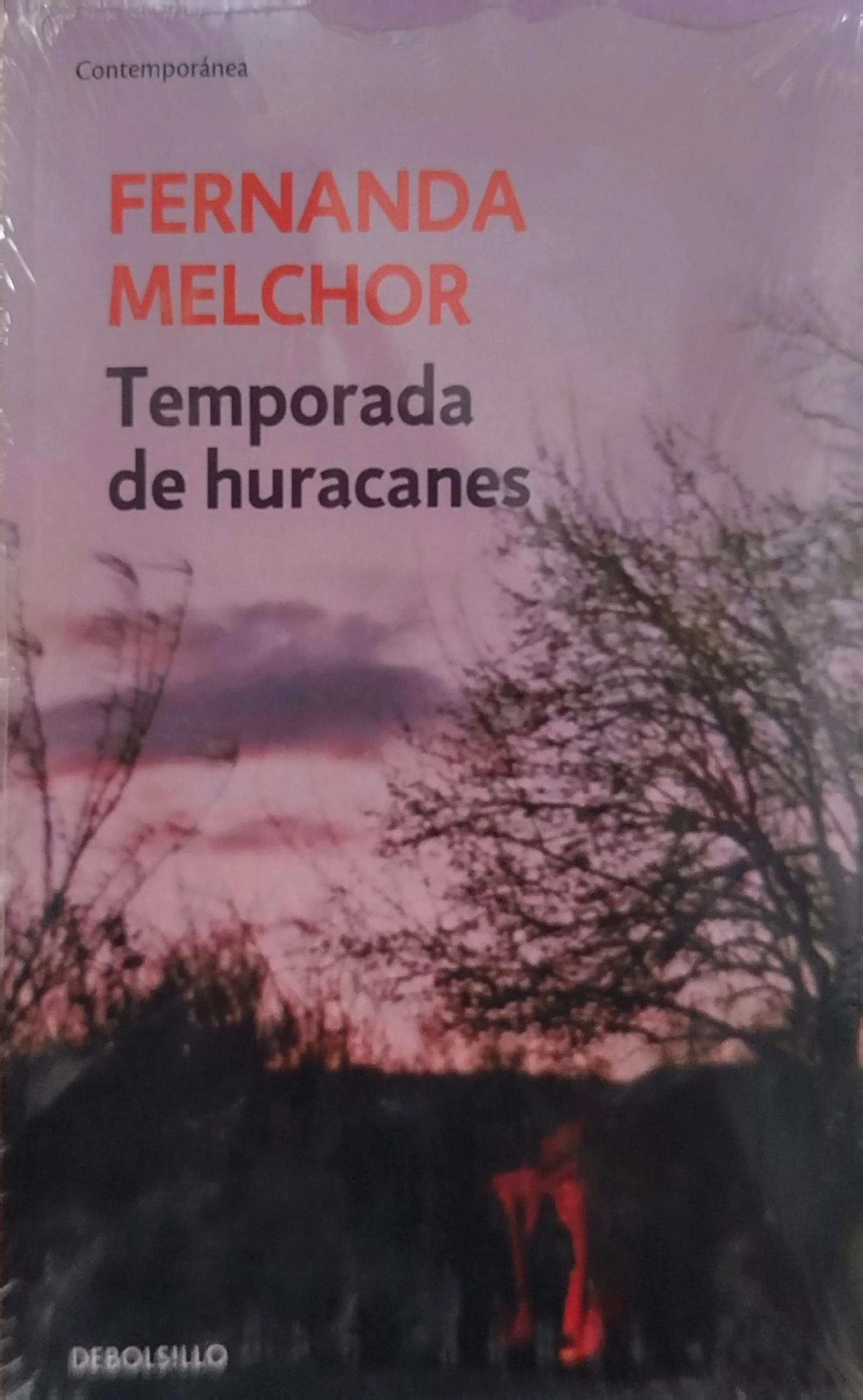 TEMPORADA DE HURACANES 