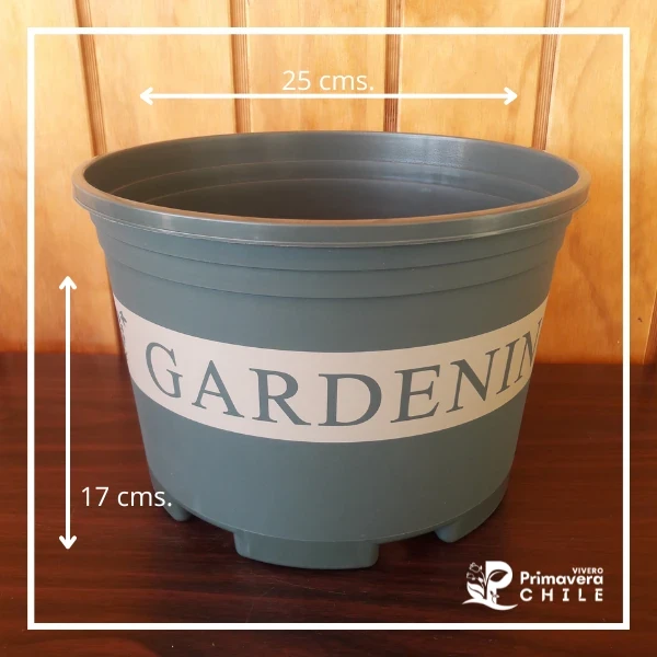 Maceta Gardening 5.5 Lts.