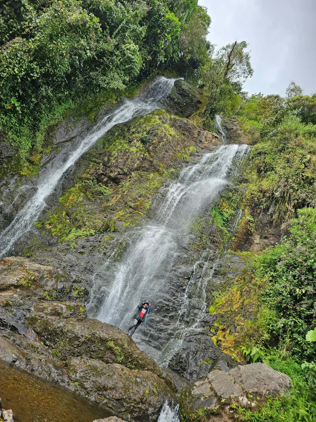 JARDÍN Y AVENTURA EN PASA DIA 4