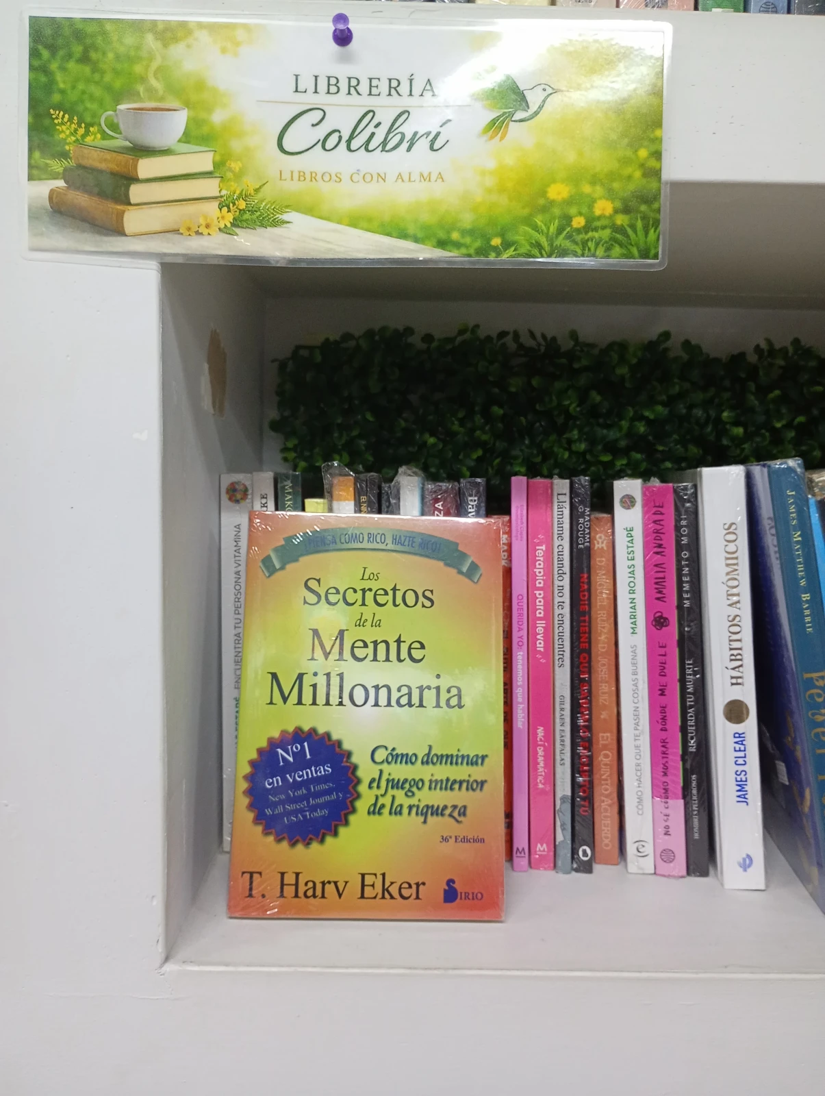 Los secretos de la mente millonaria 