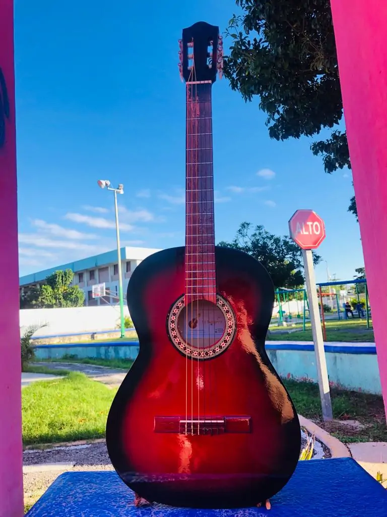 Guitarra roja sombreada 