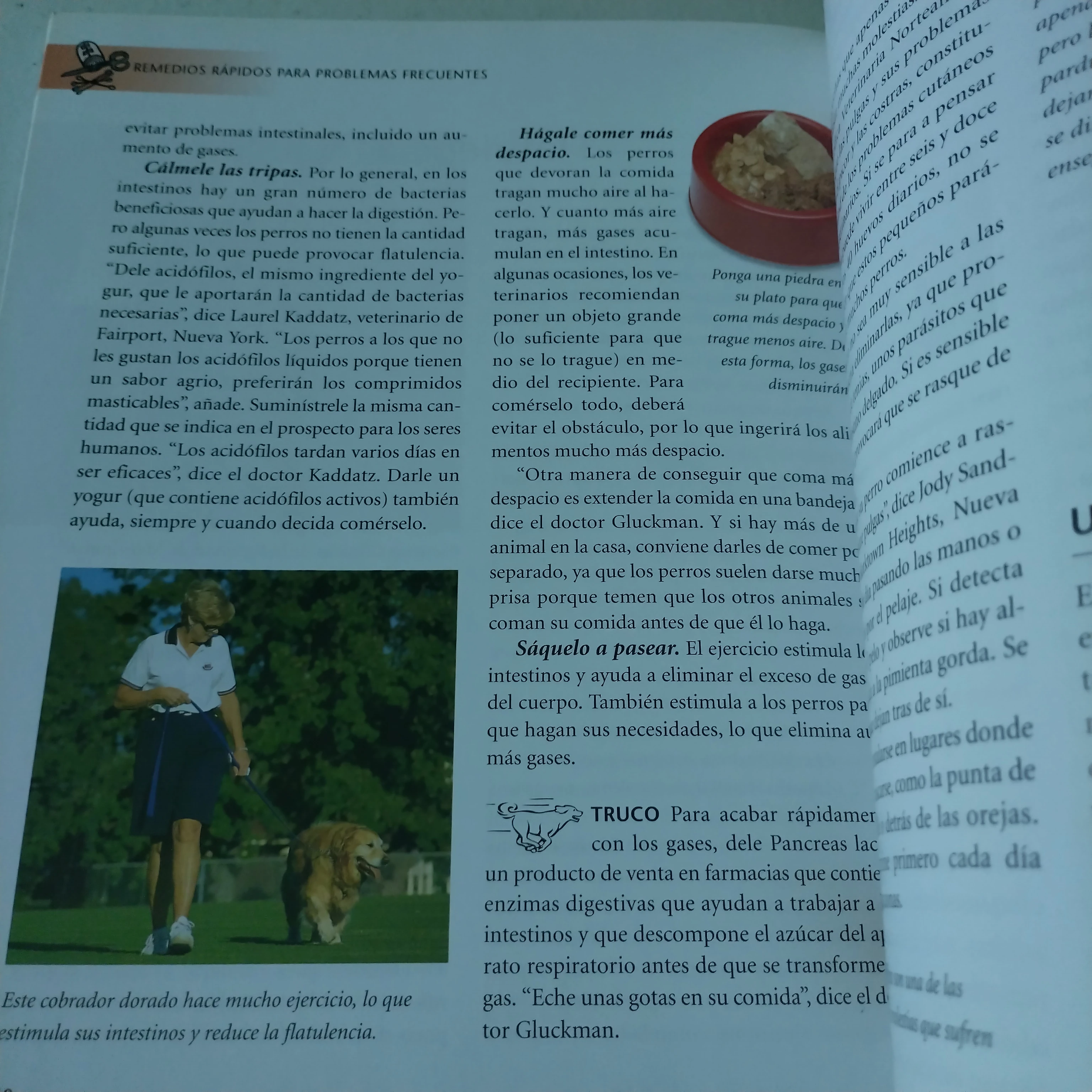 El veterinario en casa, usado 3