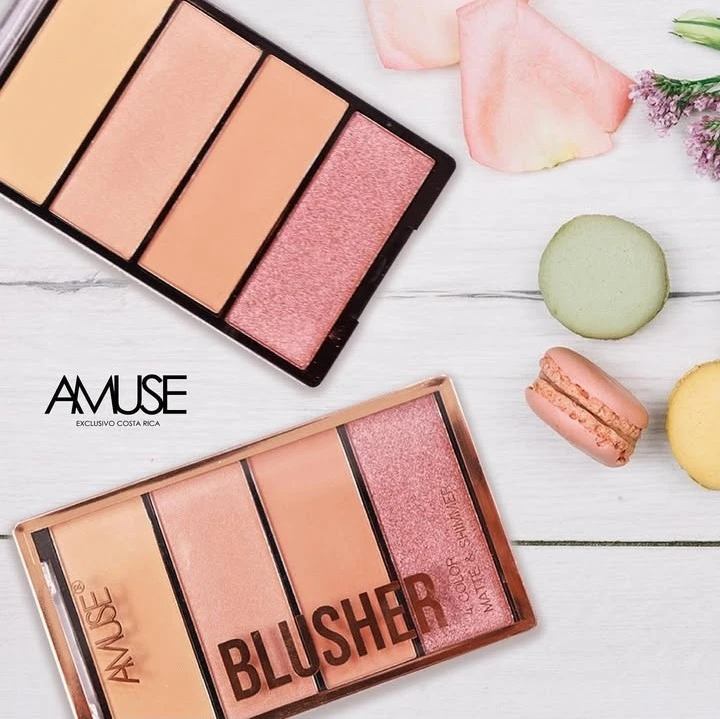 Blusher Amuse 4 color matte & shimer 2