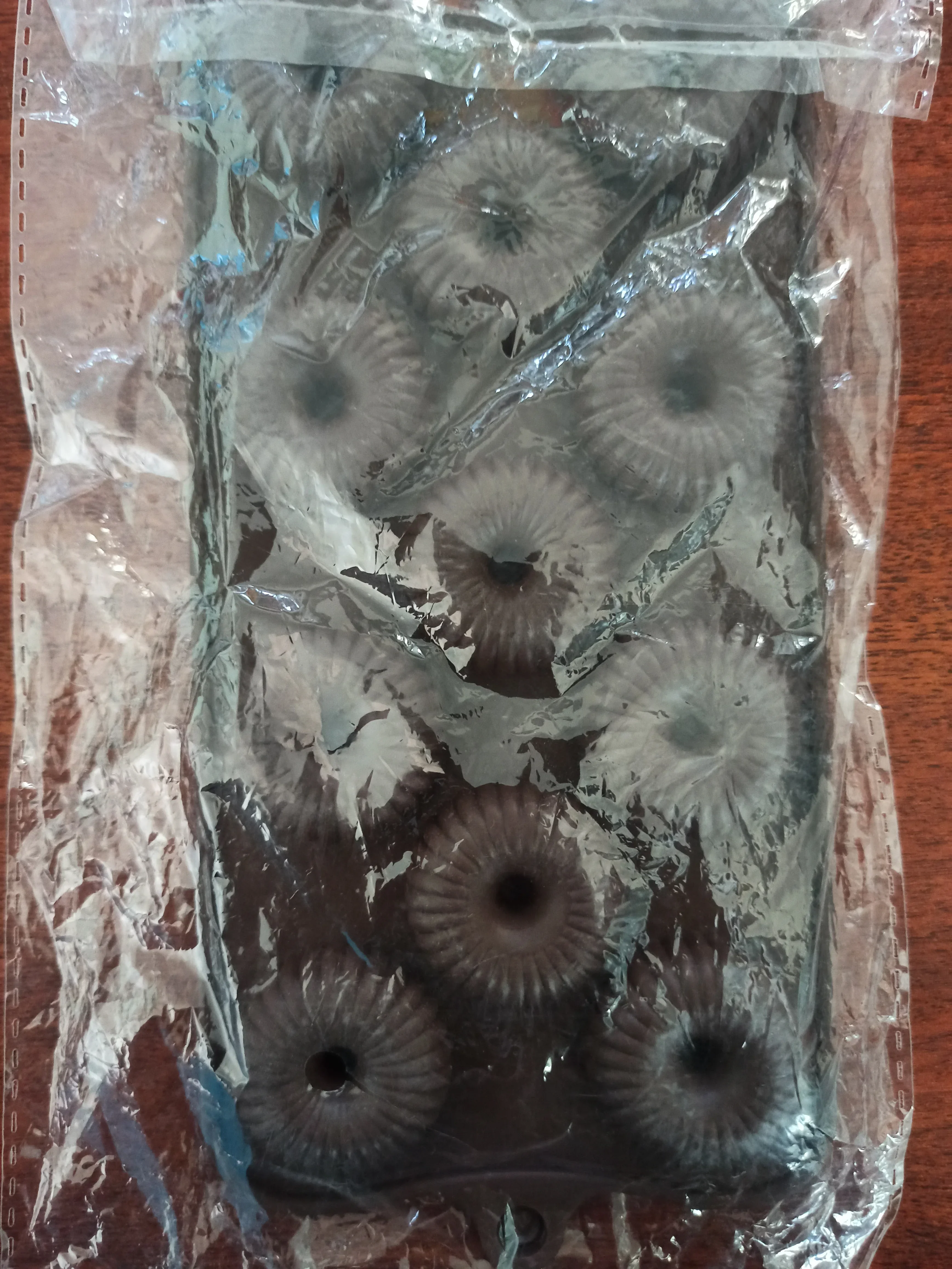 Molde silicona pequeño  3