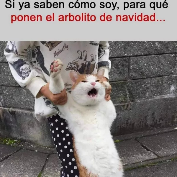 Anuncios