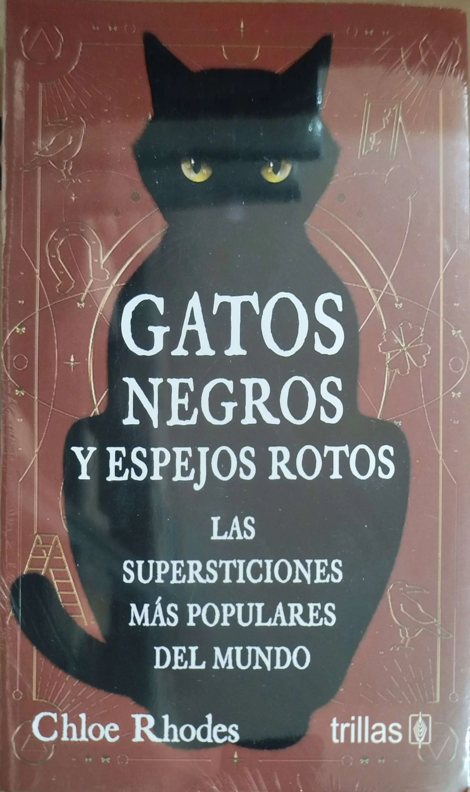 GATOS NEGROS Y ESPEJOS ROTOS 