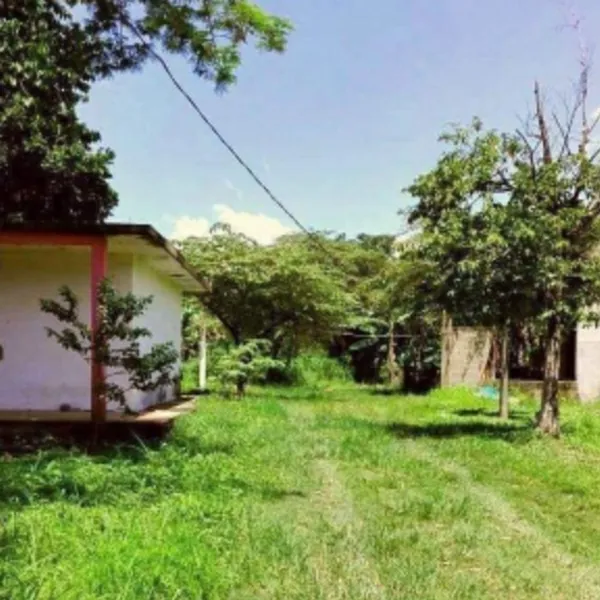 Terrenos 