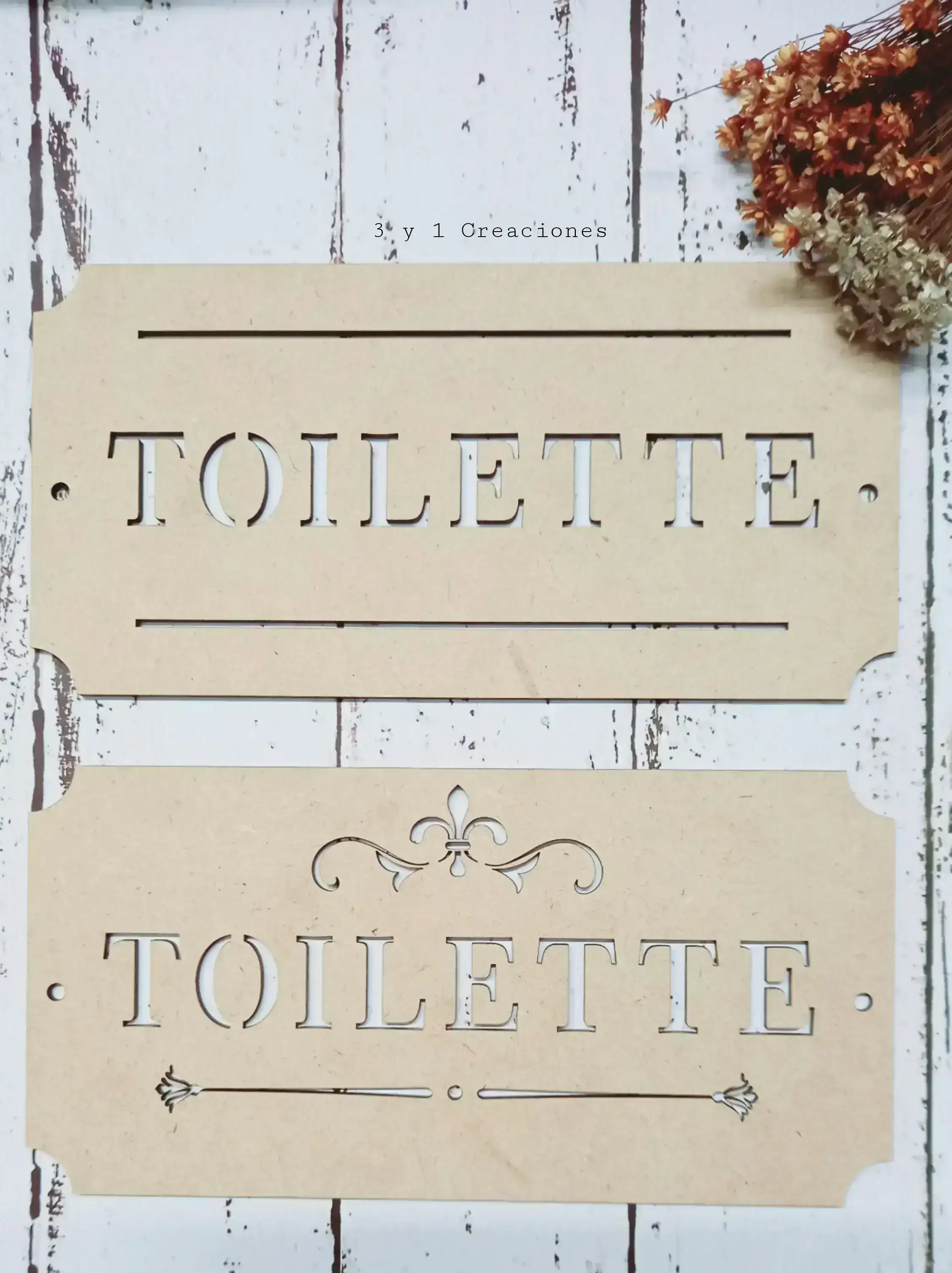 LETRERO TOILETTE