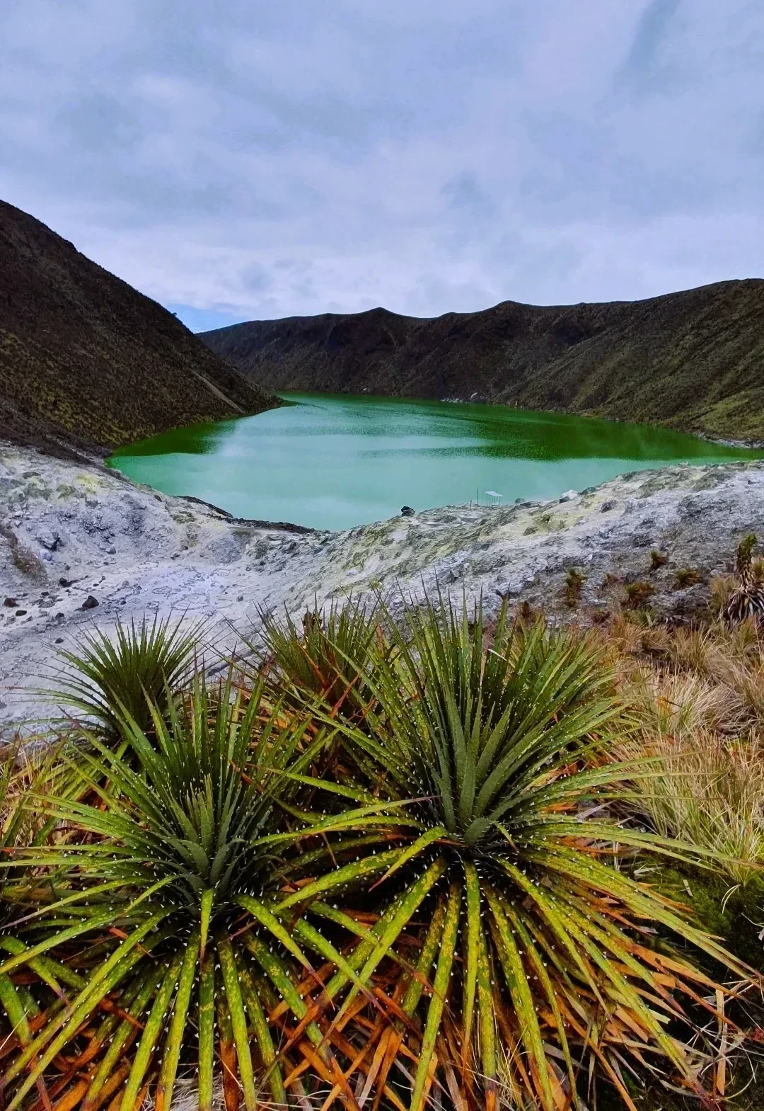 NARIÑO SUR DE COLOMBIA QAPACK-ÑAN Y SUS CUMBRES 8