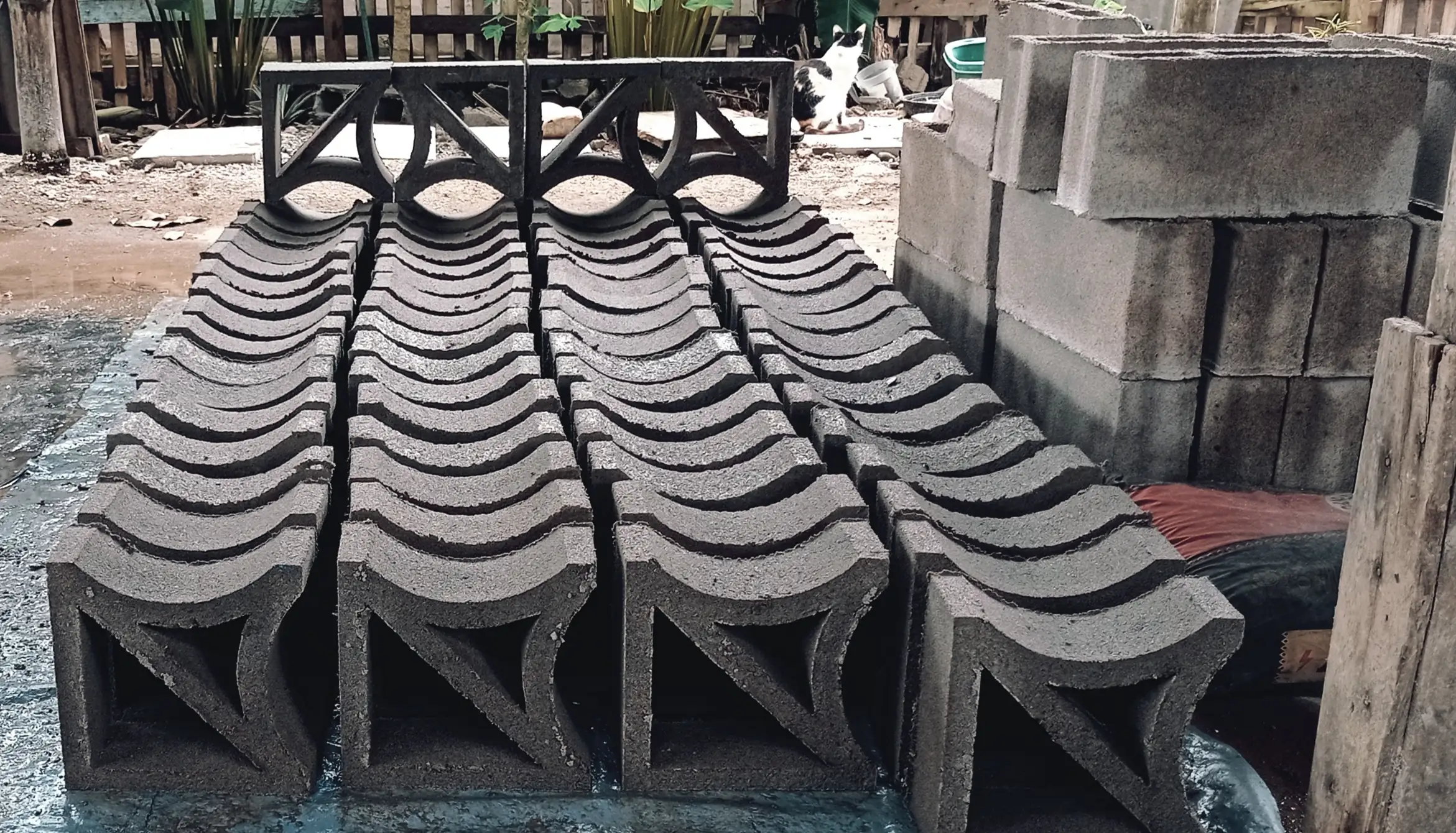 Celosias decorativos tipo trebol  2