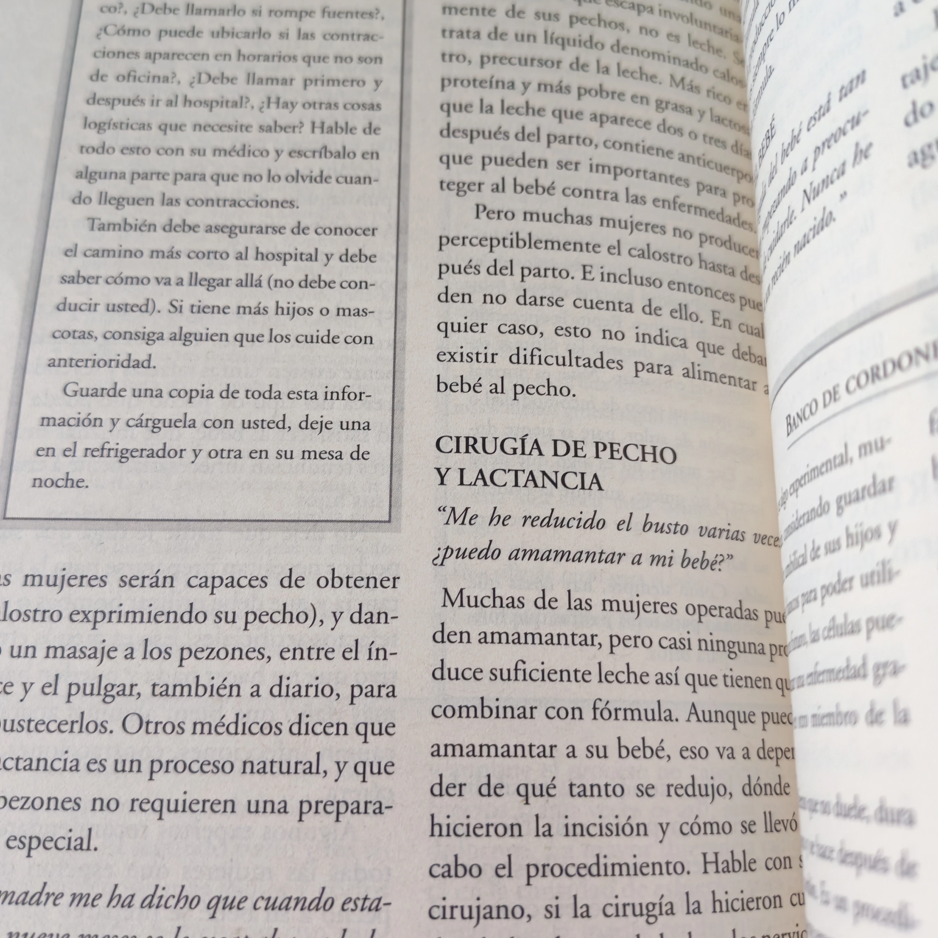 Que esperar cuando se esta esperando, Heidi Murkoff, usado 3