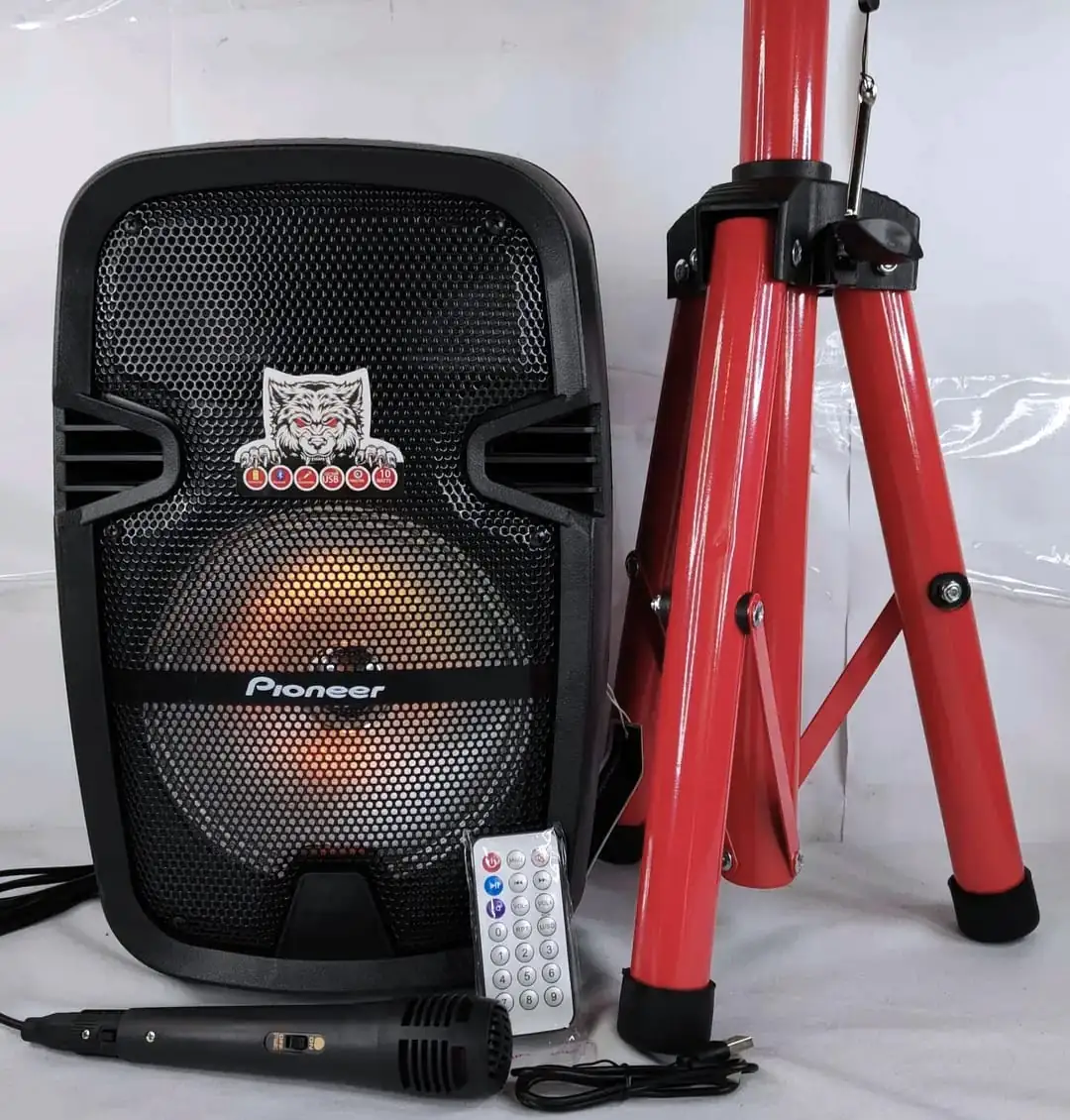 PARLANTE AMPLIFICADO RECARGABLE DE 8" EN PIONER Y JVL