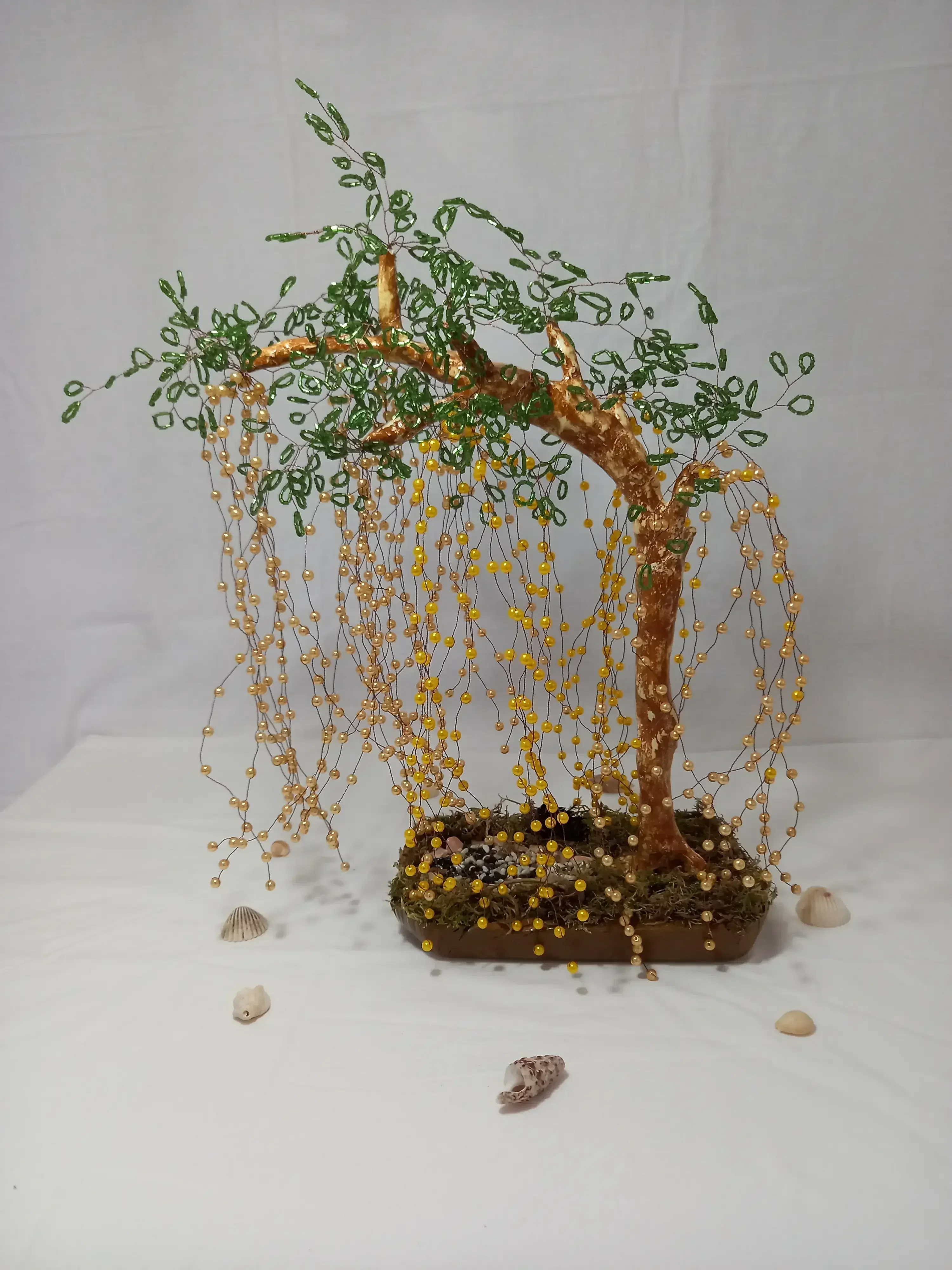 Bonsai Sauce Lloron Ambar