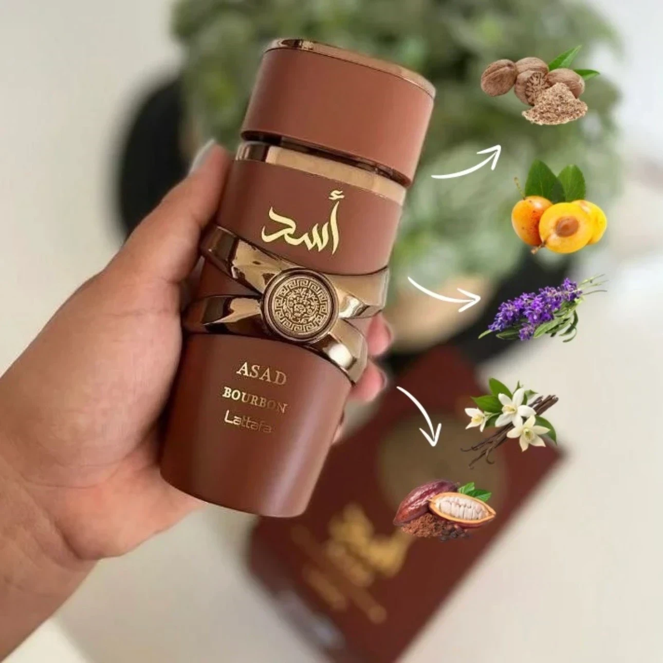 1.1 – Asad Bourbon Lattafa - Hombre
