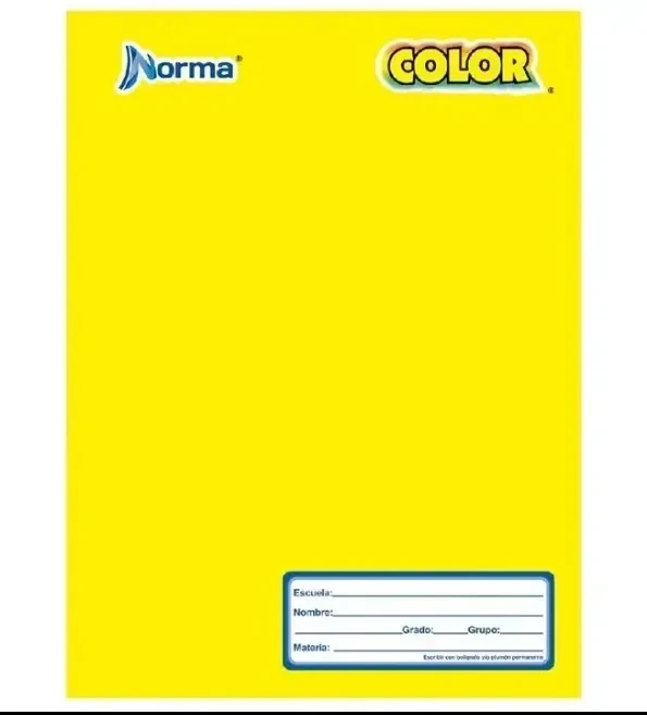 Cuaderno cosido profesional C7  norma 100 hojas 2