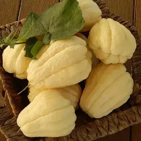 PERULERO