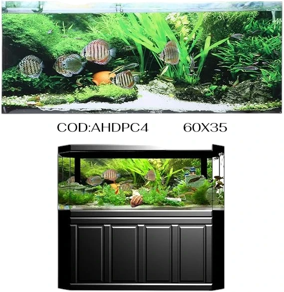 60X35 LAMINA DE FONDO