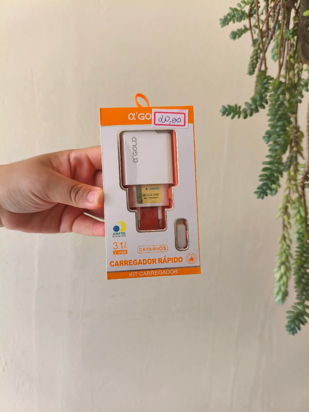 Kit Carregador Lightning 
