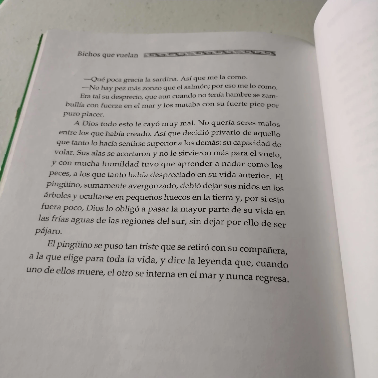 Bichos que vuelan, Patricia Suárez, usado  3